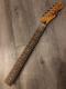 TELECASTER NECK eLX^[ lbN coo 22tbg