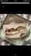 @@q@3_