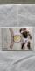 BBM2011_铇i{[J[h