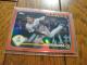 \tgoNz[NX l topps 싅 J[h
